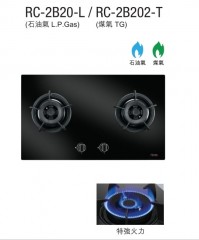ricco 意高 雙爐頭嵌入式煮食爐 - RC-2B202-T (煤氣)